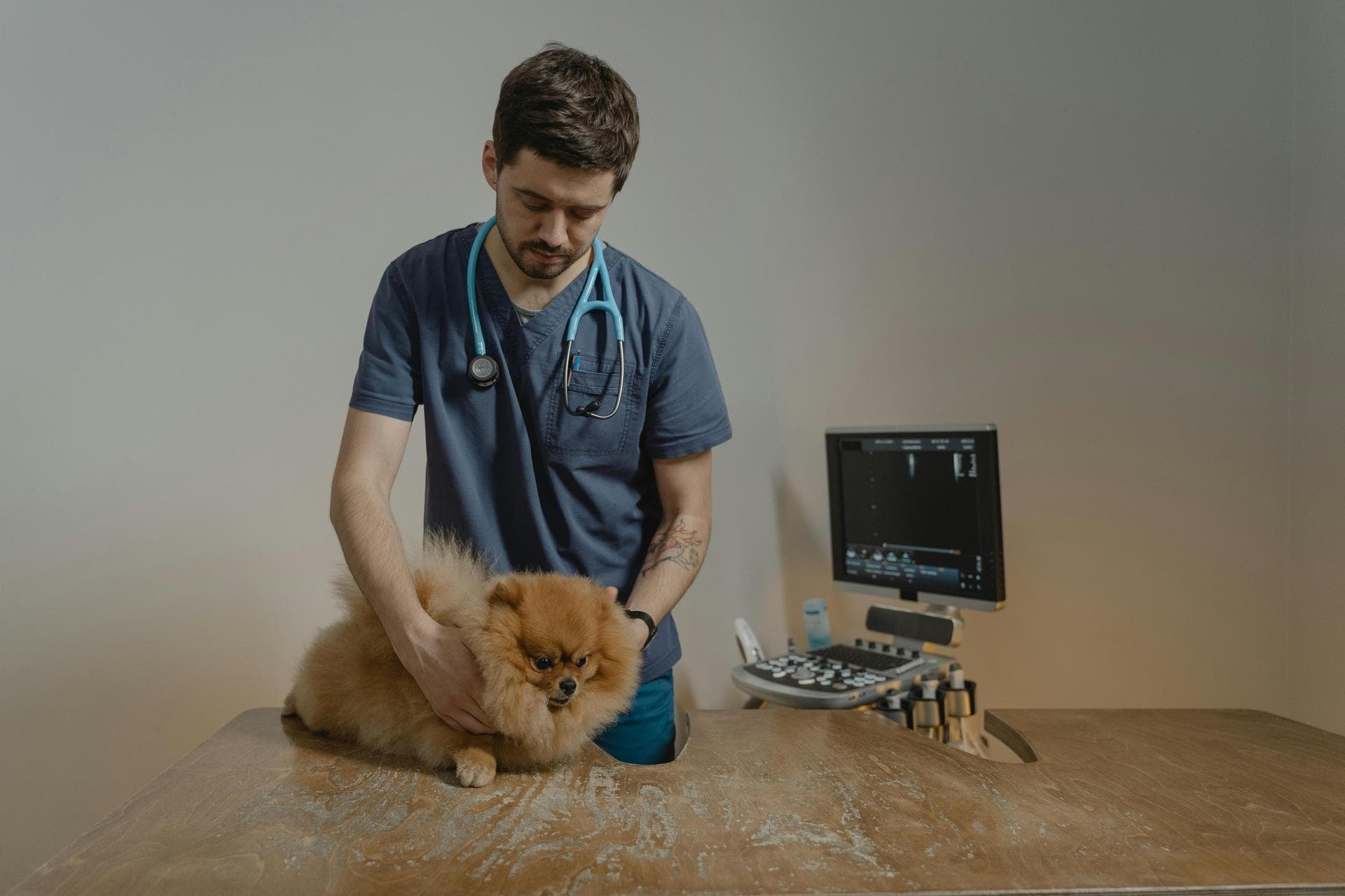 Veterinarian with dog in clinic